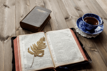 Best Daily Devotions for Busy Christians