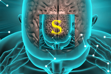 Meet Solomon – The Stoicess AI Coach